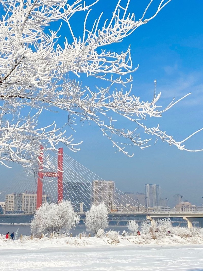 吉林，初学者与进阶者的任务完成与技能学习指南