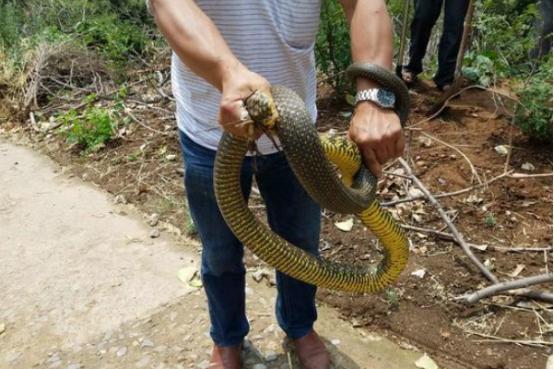 河南，领导与朋友共聚一堂的尊贵时刻