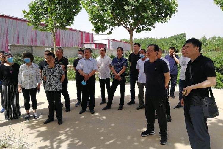 保定的魅力与故事