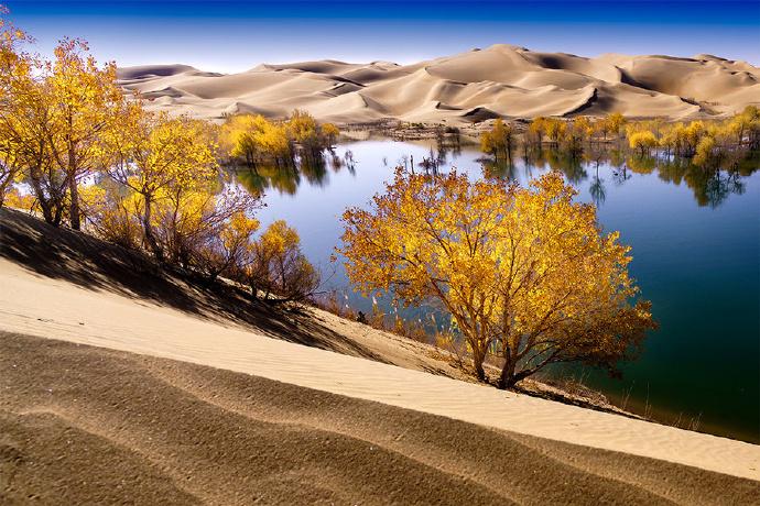 新疆科技之光，前沿科技探索与未来生活引领